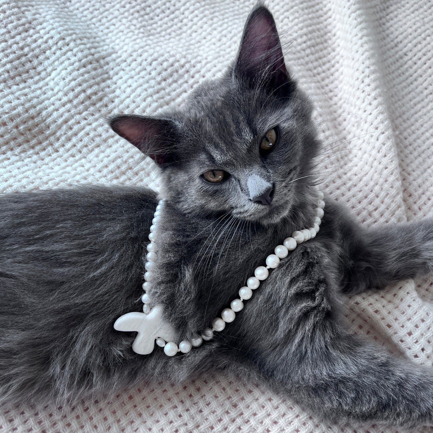 Peace | Pearl & Dove Necklace